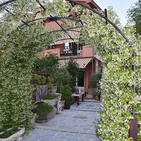 Apartments Scepanovic 티바트 외부 사진
