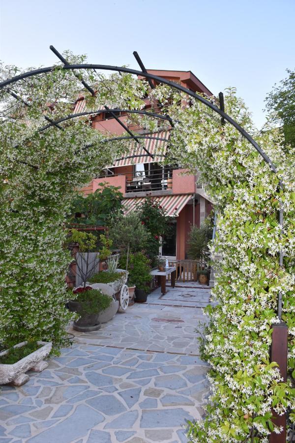 Apartments Scepanovic 티바트 외부 사진